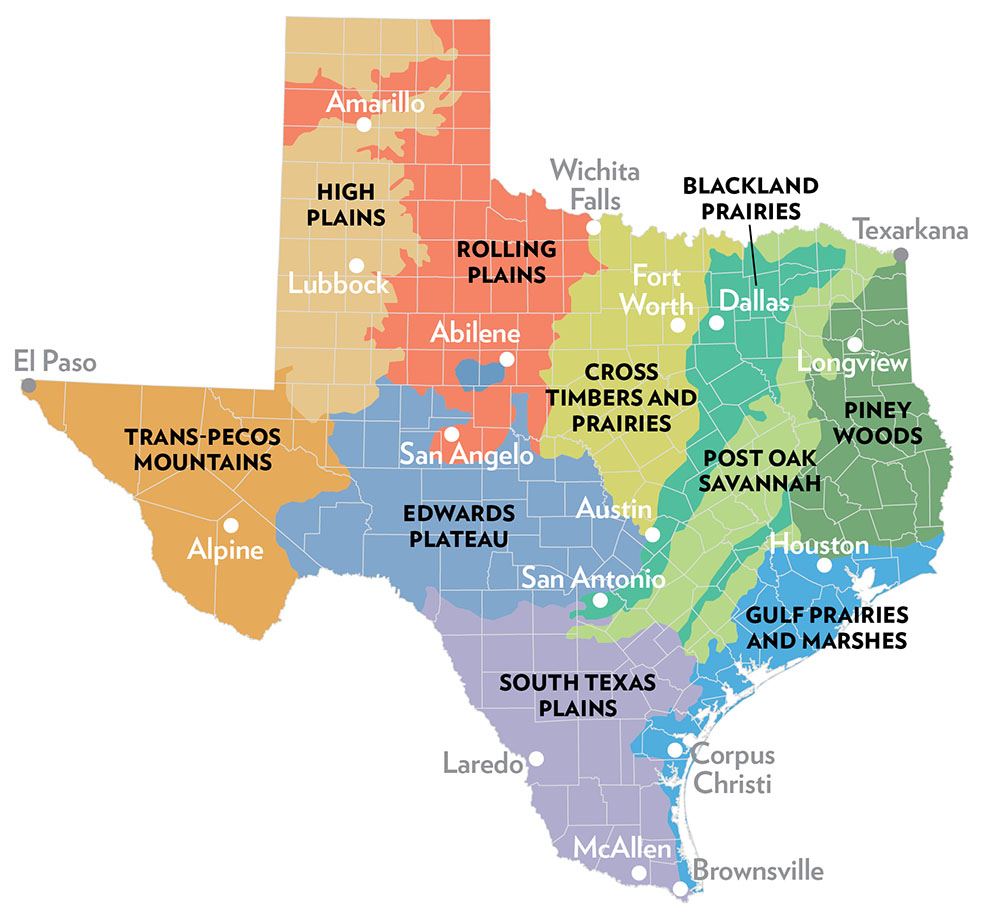 Texas Ecoregions